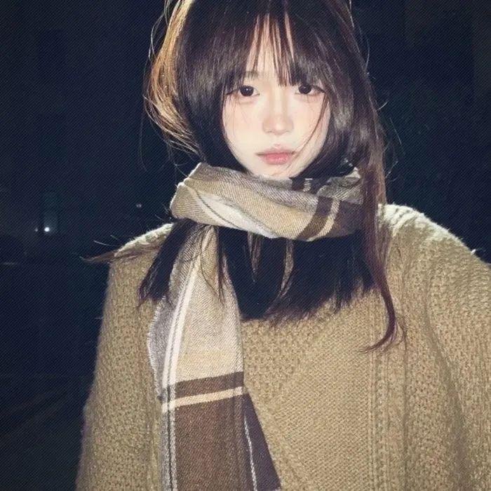 菊石